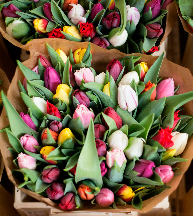 Journal_Floristeria_miniatura